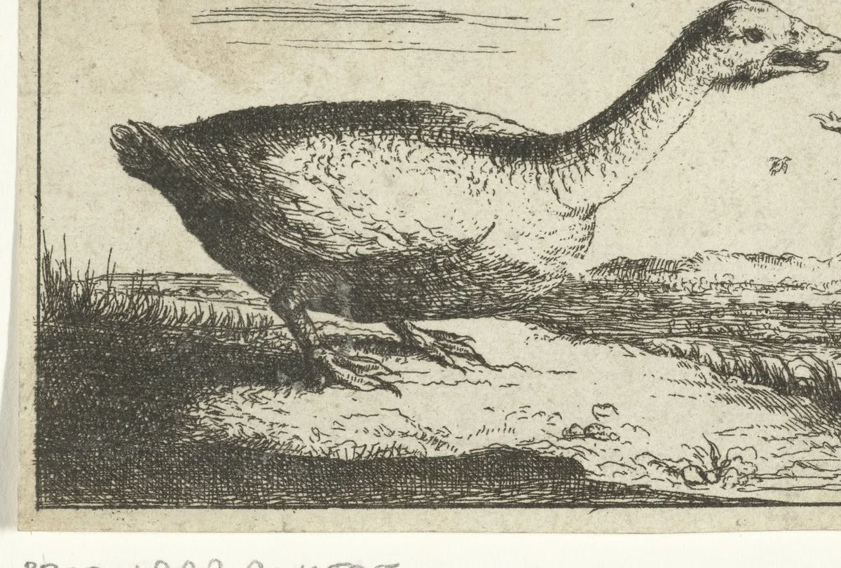 Landschap met wilde gans by anonymous, print, 1659-1741