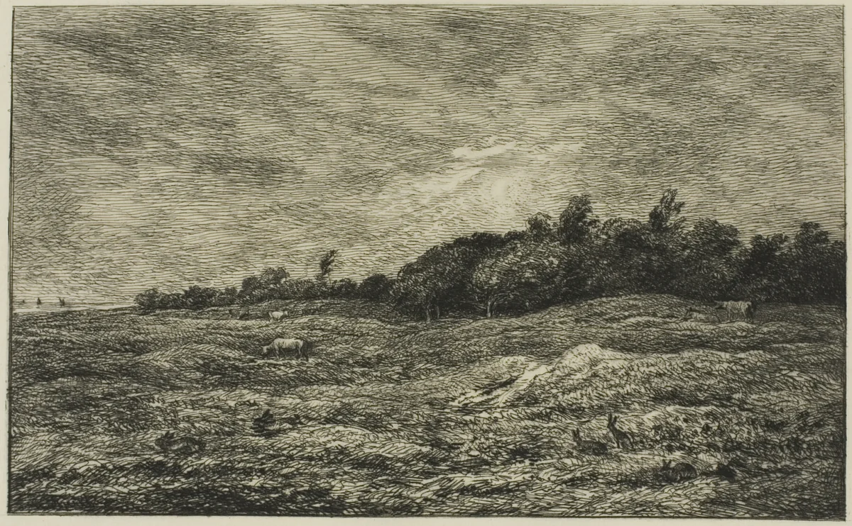 Le Pré des Graves à Villerville (Calvados) by Charles-François Daubigny, print, 1875