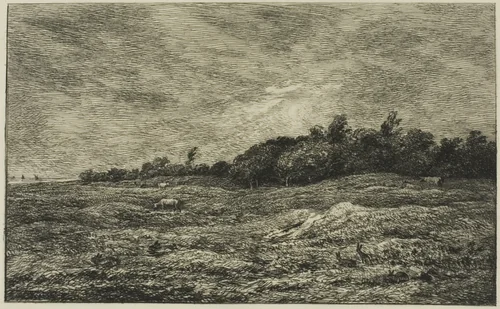 Le Pré des Graves à Villerville (Calvados) by Charles-François Daubigny, print, 1875