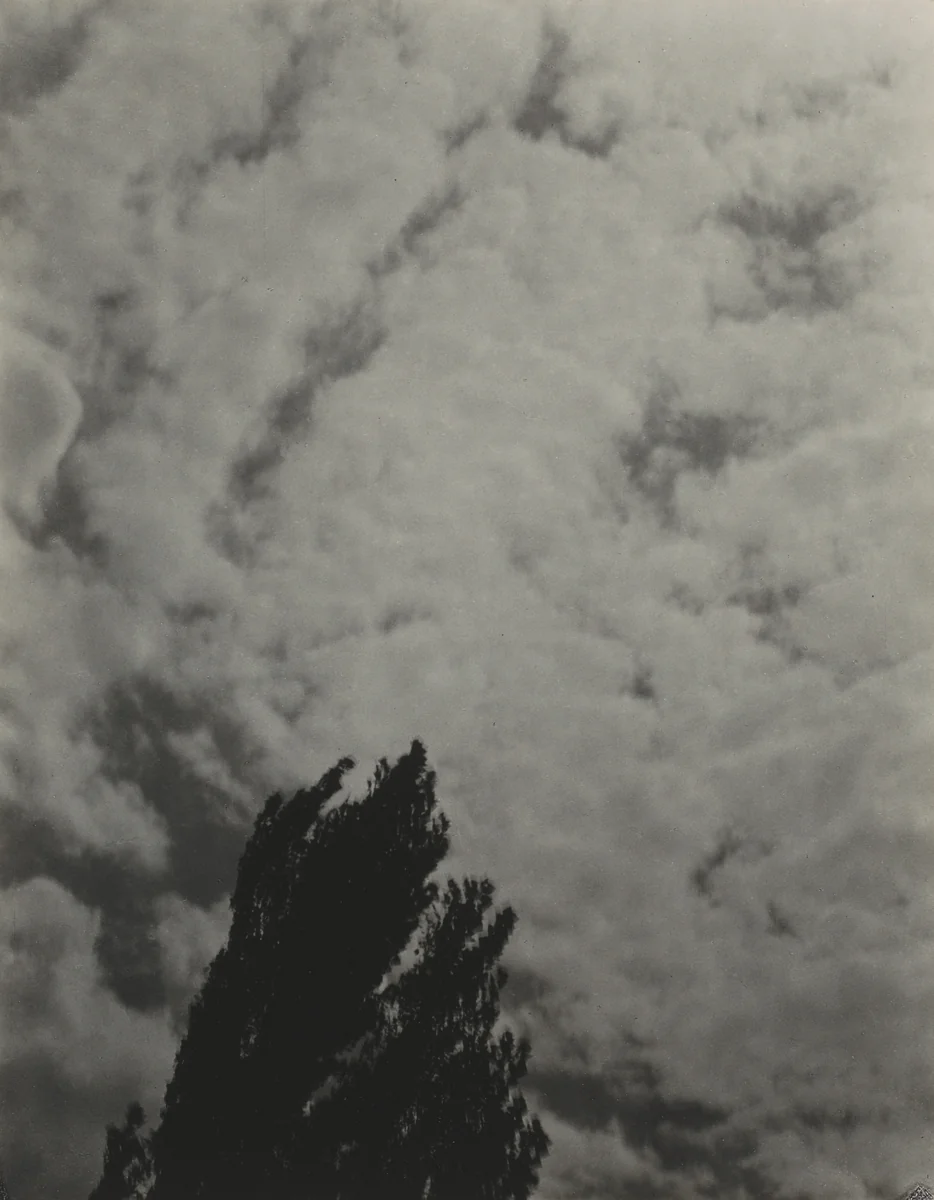 Songs of the Sky P2 by Alfred Stieglitz, photograph, 1923