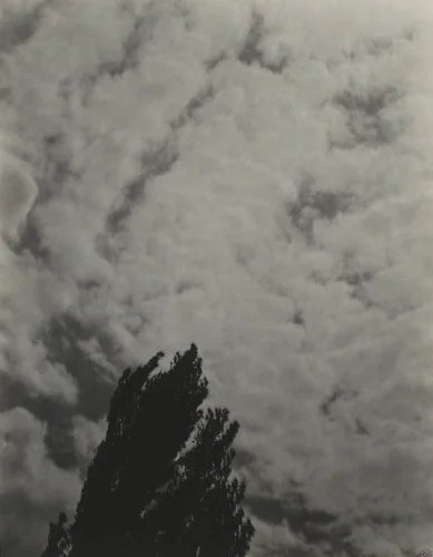 Songs of the Sky P2 by Alfred Stieglitz, photograph, 1923