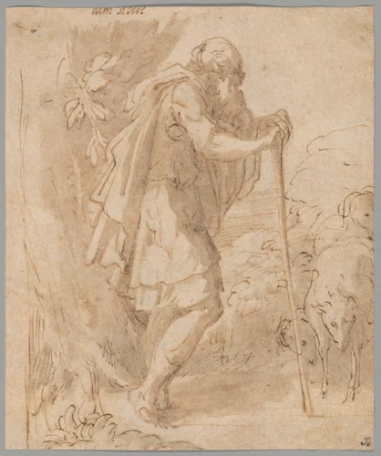 Old Shepherd Leaning on a Staff by Francesco Mazzola, drawing, 1524-1531
