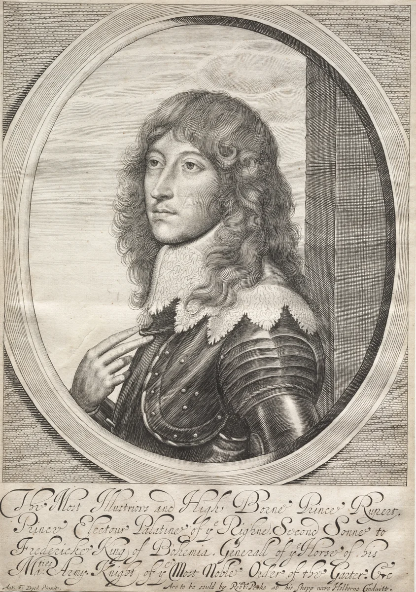 Prince Rupert by William Faithorne, print, 1640-1650