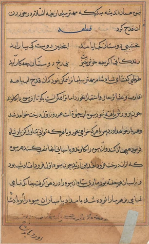 Page from Tales of a Parrot (Tuti-nama): text page by Unknown, painting, 1555-1565