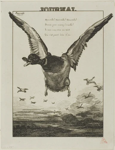 The Duck by Felix Bracquemond, print, 1856