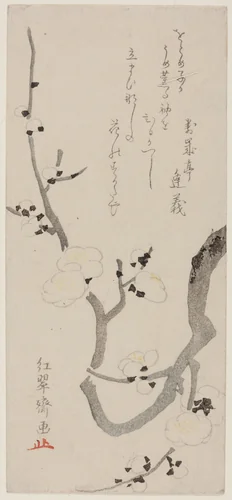 Plum Branch by Kitao Shigemasa (北尾重政), print, 1775-1800