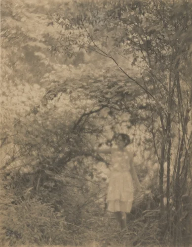 Lady in Woods by Paul Anderson, photograph, 1915