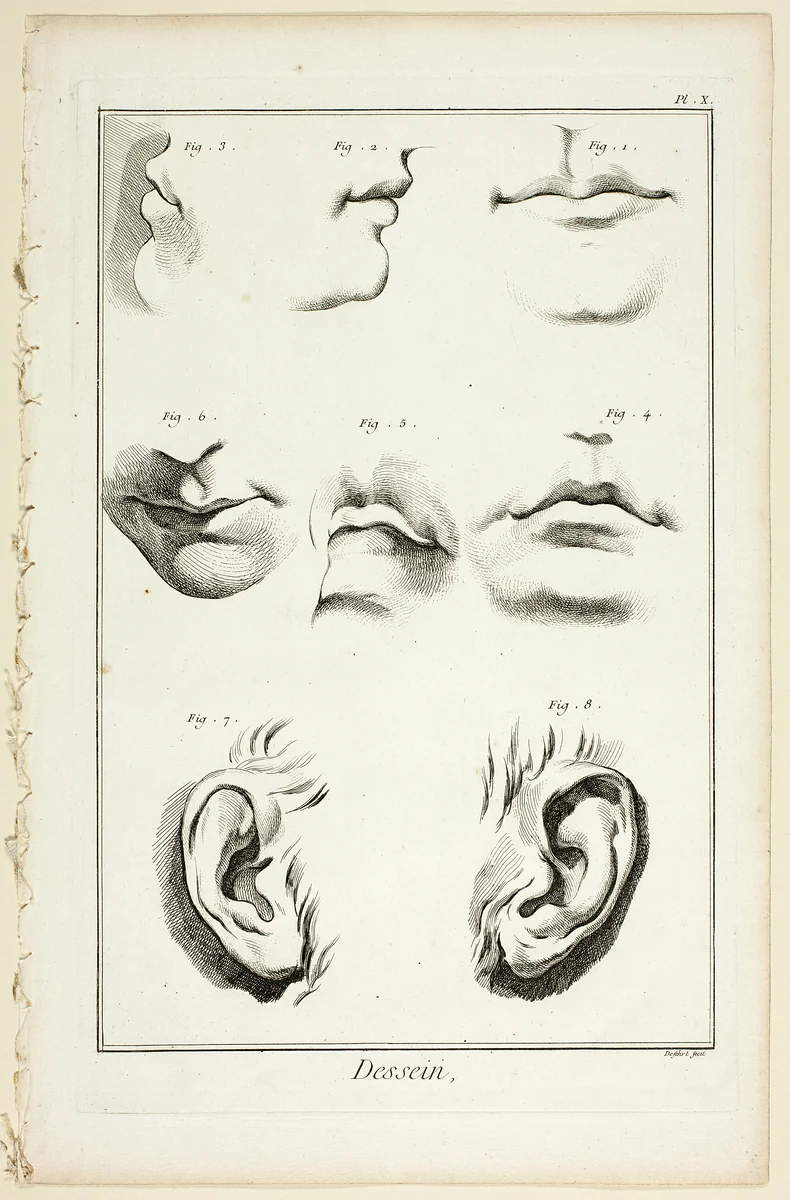 Design: Facial Anatomy from Encyclopédie by A. J. Defehrt, print, 1762-1777