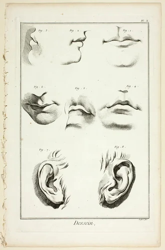Design: Facial Anatomy from Encyclopédie by A. J. Defehrt, print, 1762-1777