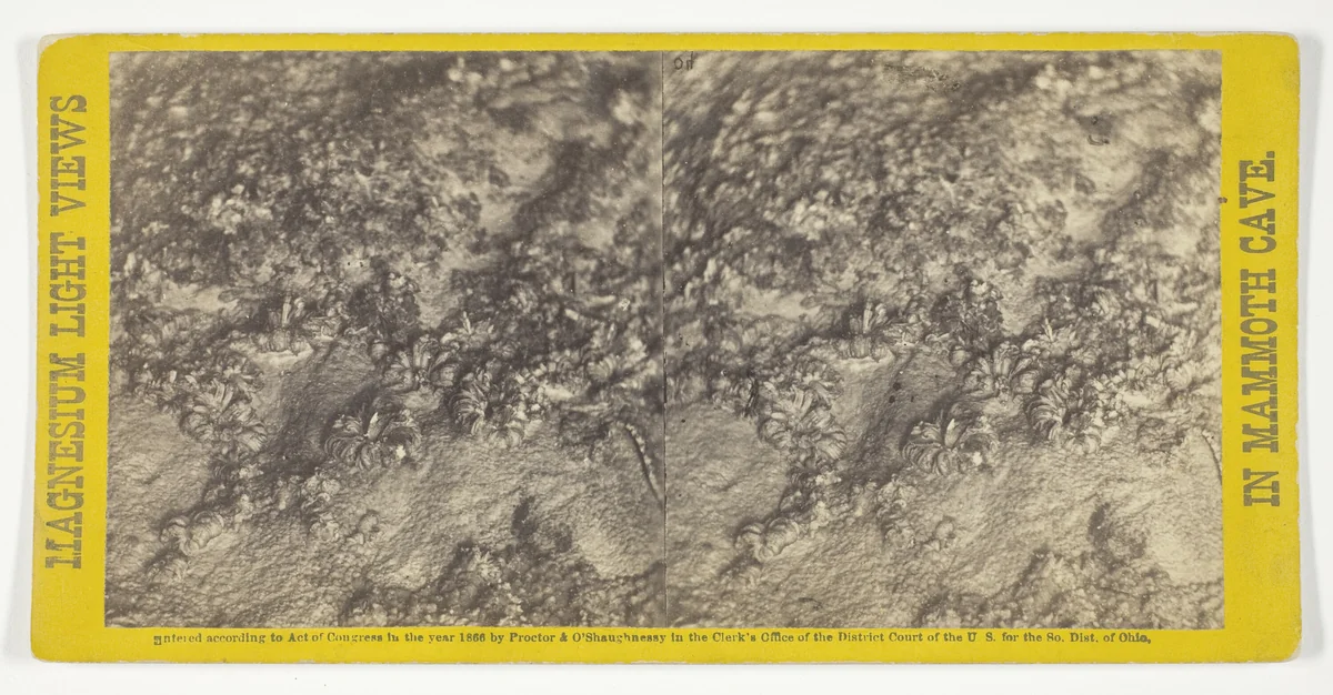 "Rosa's Bower", No. 40 from the series "Mammoth Cave Views" by Chas Waldack, photograph, 1866