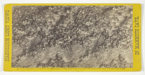 "Rosa's Bower", No. 40 from the series "Mammoth Cave Views" by Chas Waldack, photograph, 1866