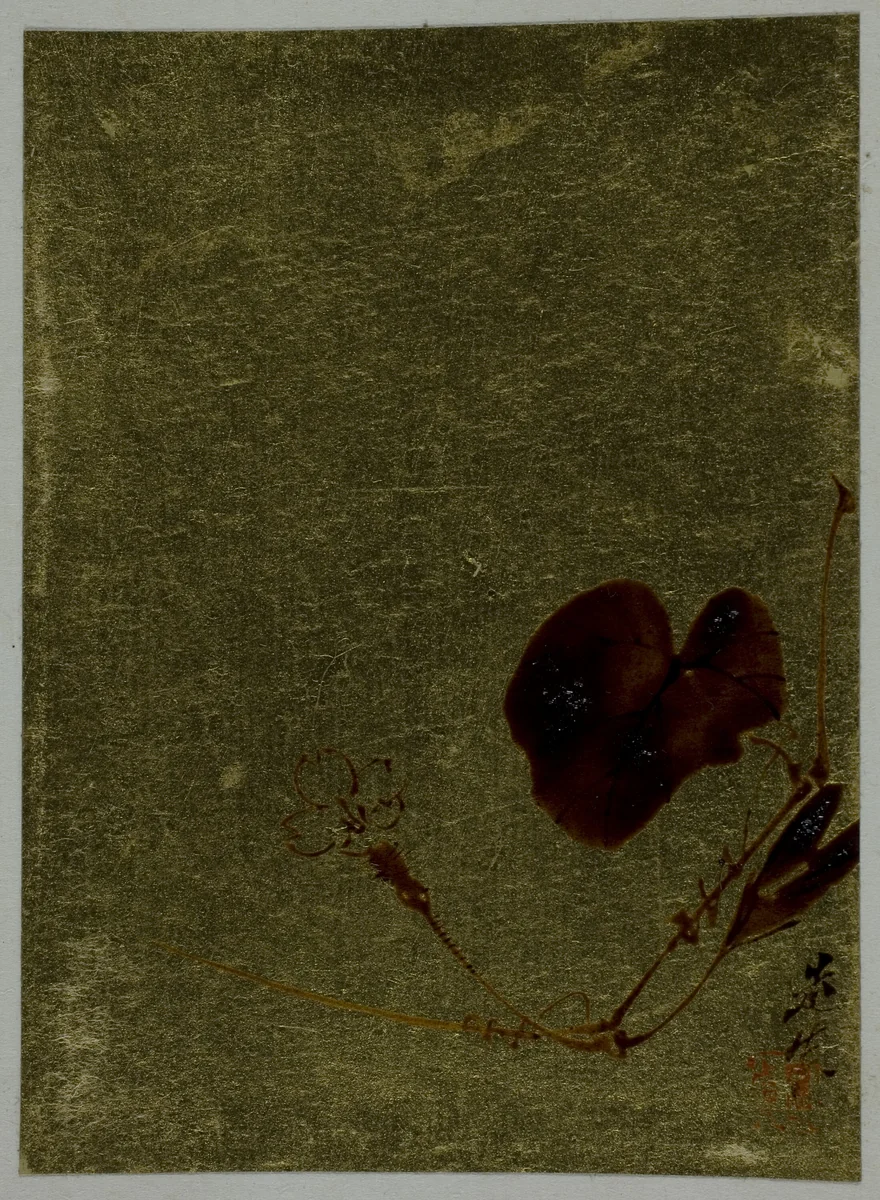 Flower Blossom by Shibata Zeshin (柴田是真), other, 1807-1891