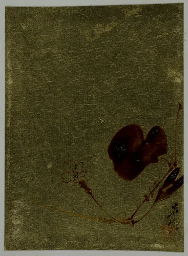 Flower Blossom by Shibata Zeshin (柴田是真), other, 1807-1891