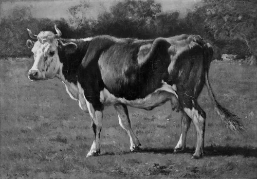 Study of a Cow by Emile van Marcke de Lummen, painting, 1870-1890