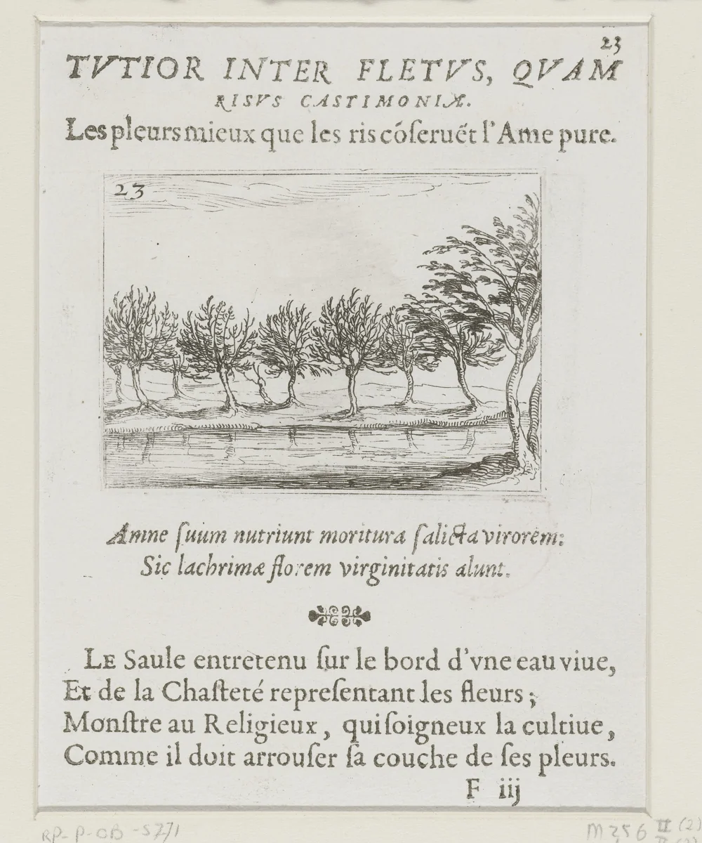 Wilgen langs een oever by Jacques Callot, print, 1621-1635