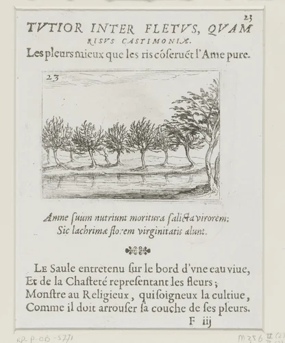 Wilgen langs een oever by Jacques Callot, print, 1621-1635