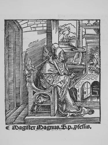 Revelationes Sancte Birgitte by Dürer-School, book, 1500