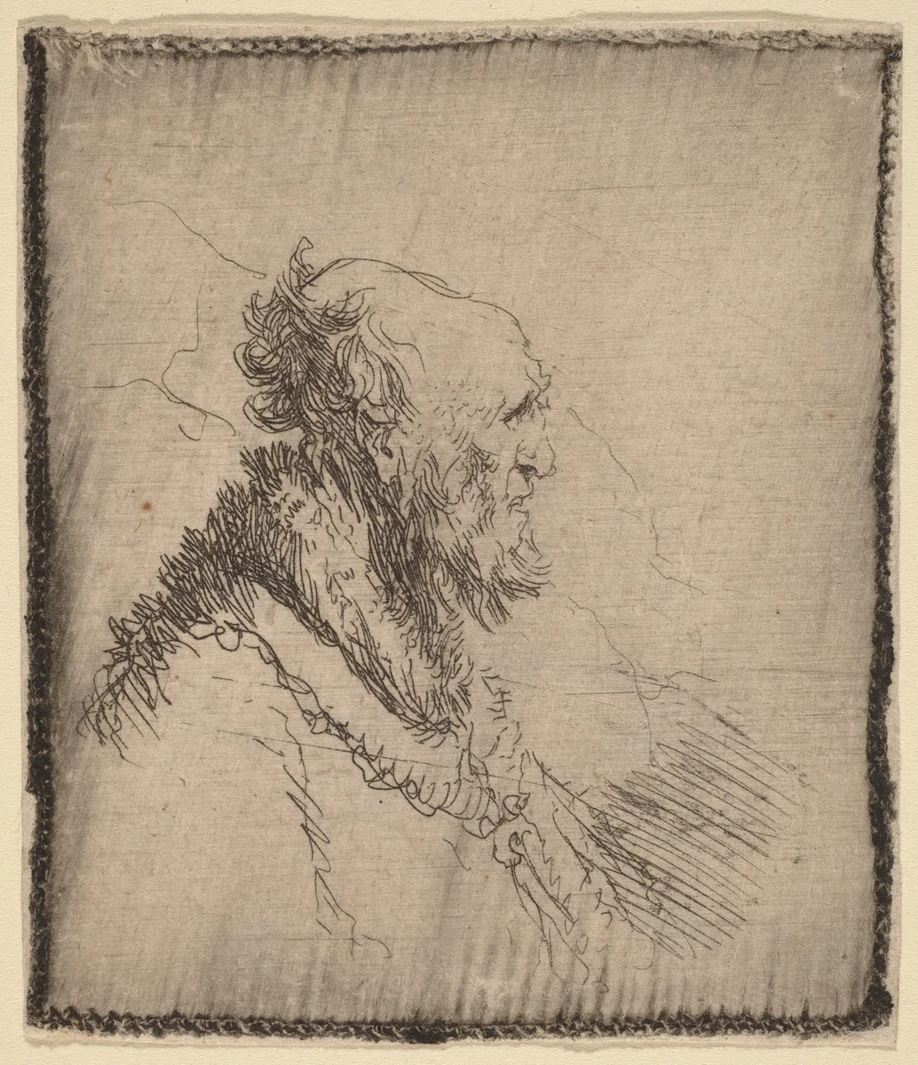 Bald Old Man with a Short Beard in Profile by Rembrandt van Rijn, print, 1635