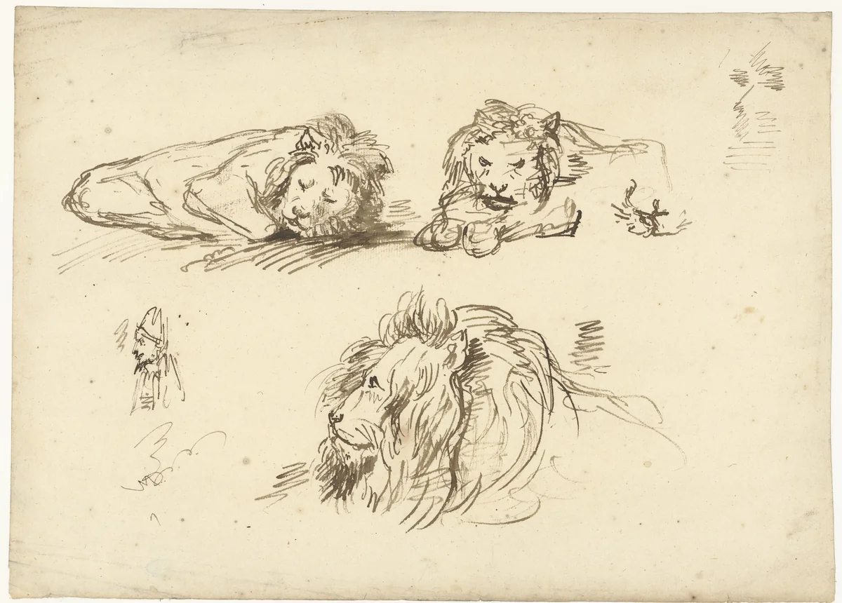 Drie schetsen van een leeuw en een man met een mijter op by Anthonie van Borssom, drawing, 1640-1677