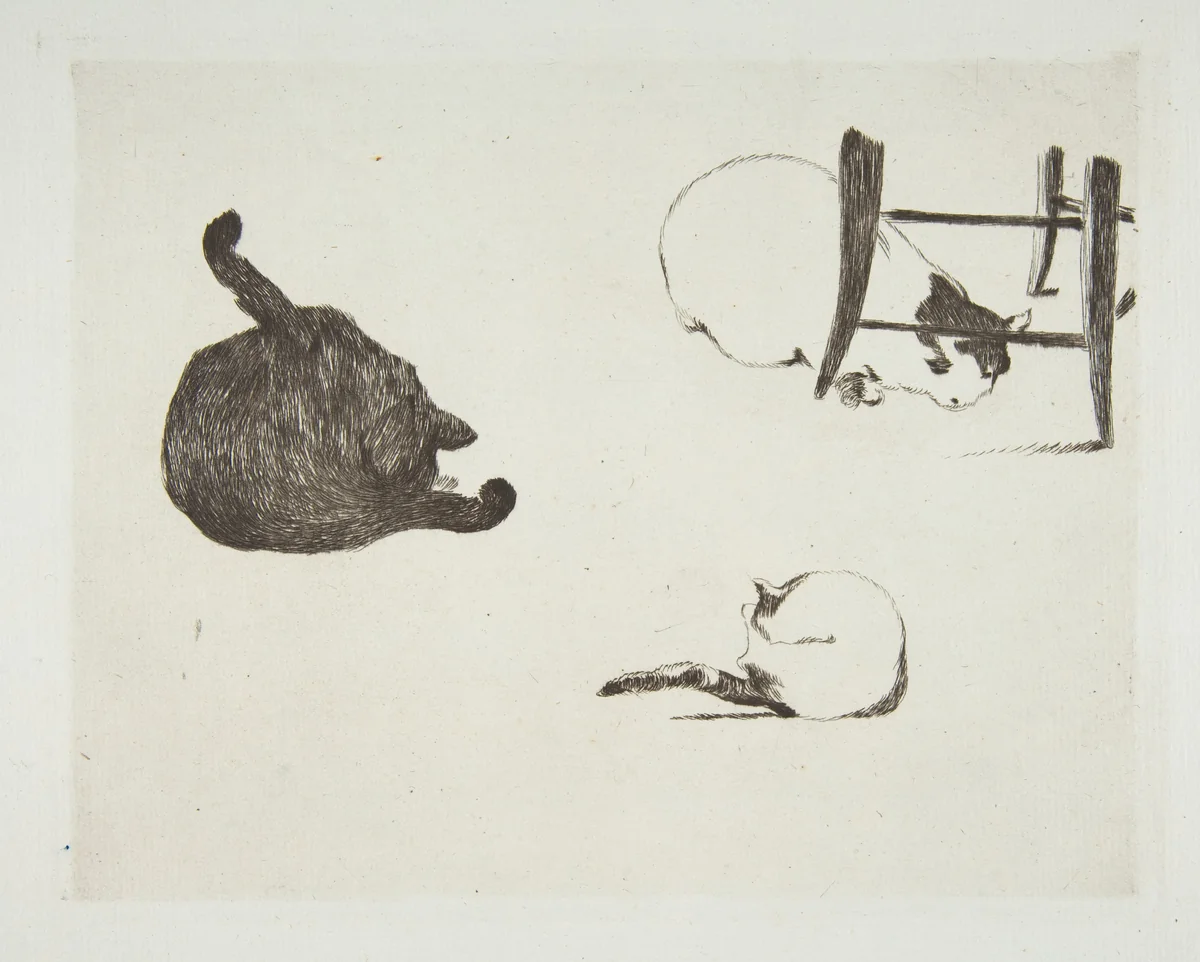 Cats by Edouard Manet, print, 1868-1869