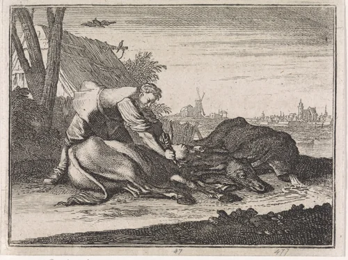 Stalmeester snijdt de koppen van twee ezels af by Caspar Luyken, print, 1704