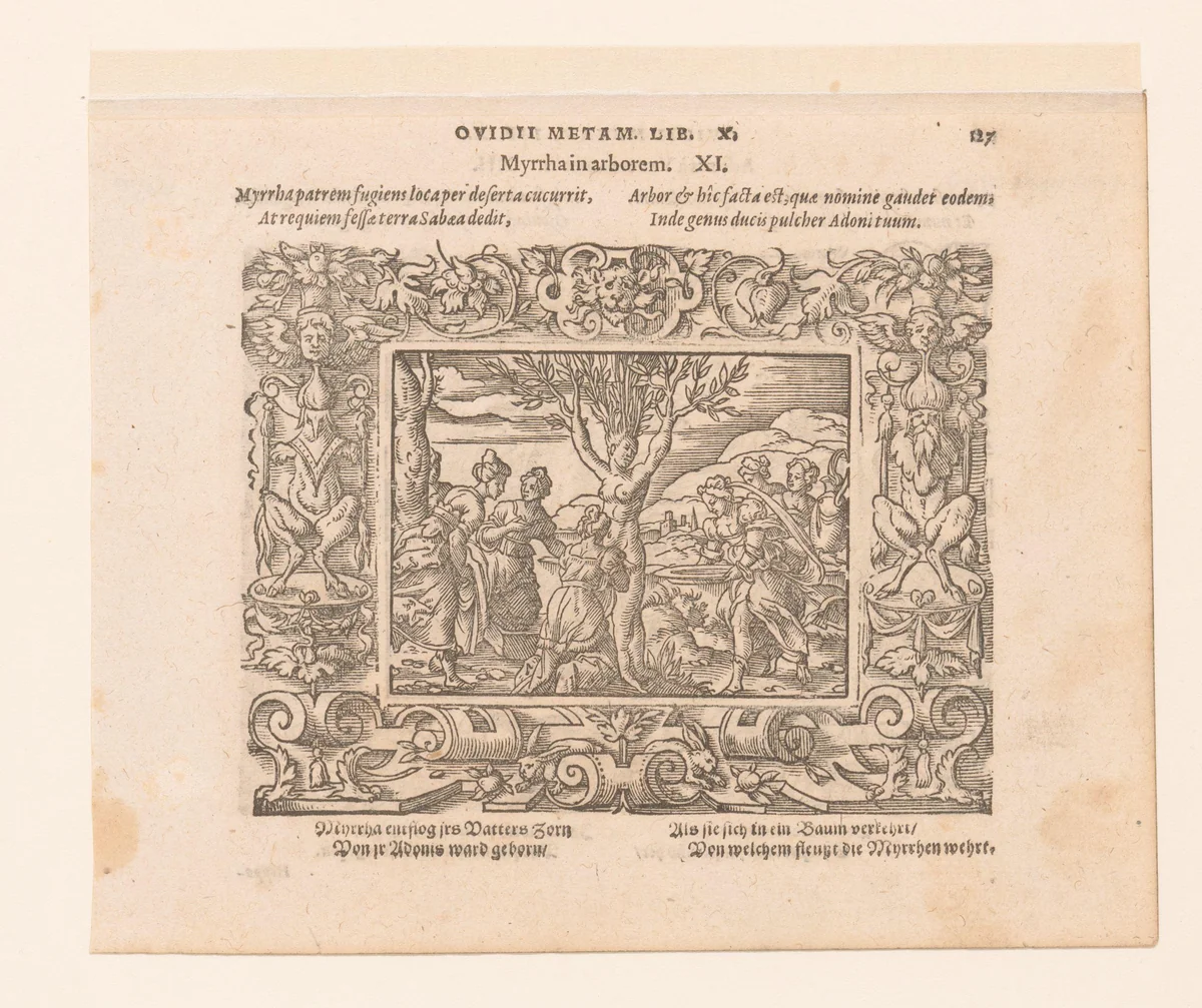 Myrrha in een boom veranderd by Virgilius Solis, print, 1569