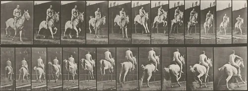 Plate Number 646. "Pandora" jumping a hurdle, saddled; rider nude by Eadweard Muybridge, photograph, 1887