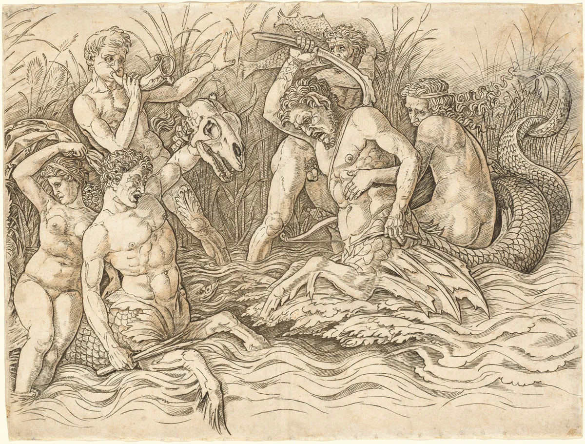 Battle of the Sea Gods [right half] by Andrea Mantegna, print, 1481