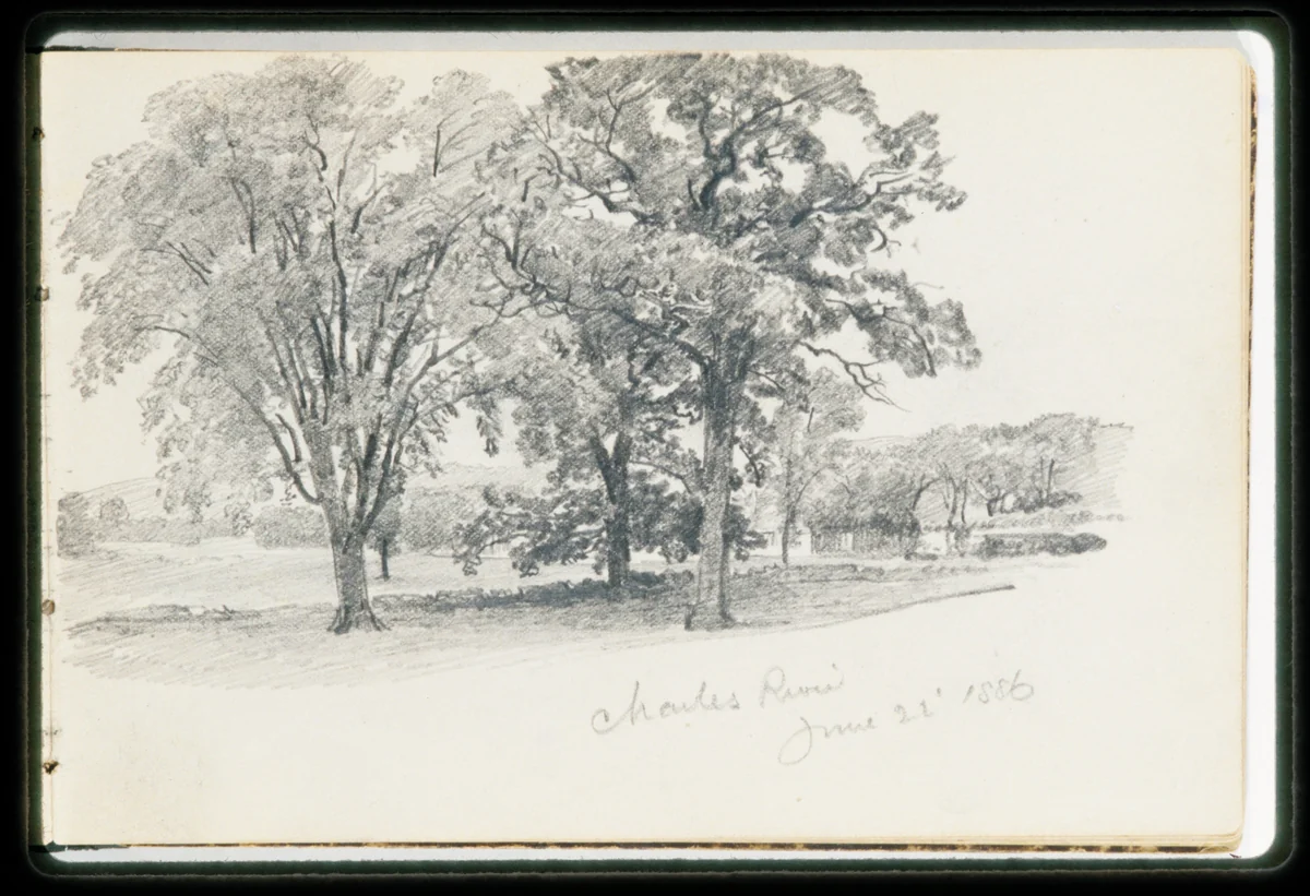 Charles River June 22 '86 (from Sketchbook VII) by William Trost Richards, artwork, 1886