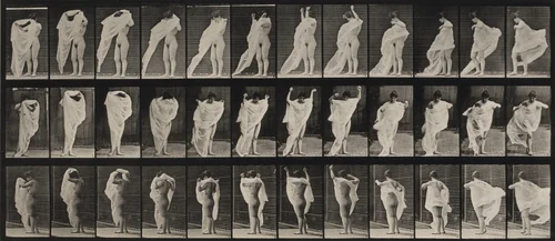 Plate Number 416. Toilet, putting on dress by Eadweard Muybridge, photograph, 1887