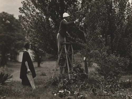 Georgia O'Keeffe and Donald Davidson Pruning Trees by Alfred Stieglitz, photograph, 1919-1921