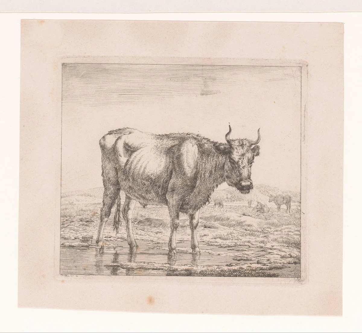 Landschap met stier by Eugène Verboeckhoven, print, 1808-1881
