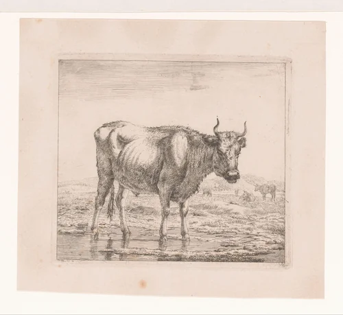 Landschap met stier by Eugène Verboeckhoven, print, 1808-1881