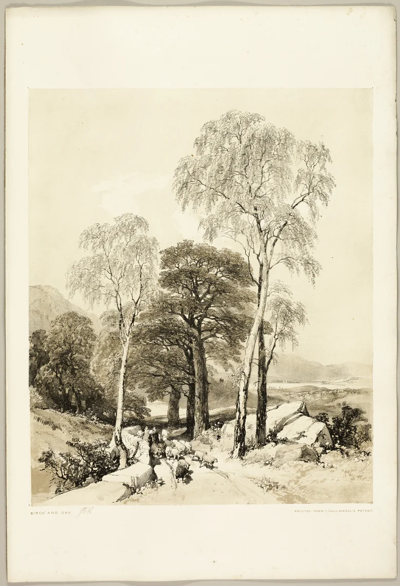 Birch and Oak, from The Park and the Forest by James Duffield Harding, print, 1841