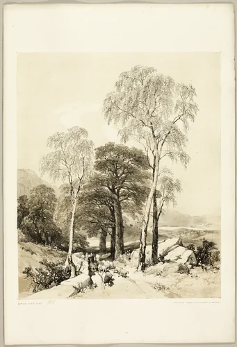Birch and Oak, from The Park and the Forest by James Duffield Harding, print, 1841