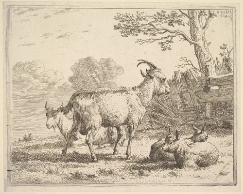 Four goats; at the back a nanny goat lies on the ground, in the middle a billy goat stands, in the front two kids lie on the ground, a fence and tree beyond by Karel Dujardin, print, 1641-1678