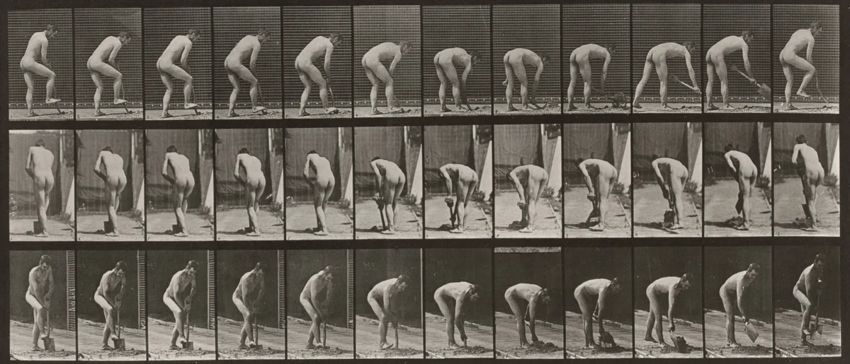 Plate Number 388. Farmer, using a spade by Eadweard Muybridge, photograph, 1887