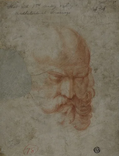 Head of a Bearded Man (recto) Sketches of Architectural Details (verso) by Unknown Artist, drawing, 1500-1529