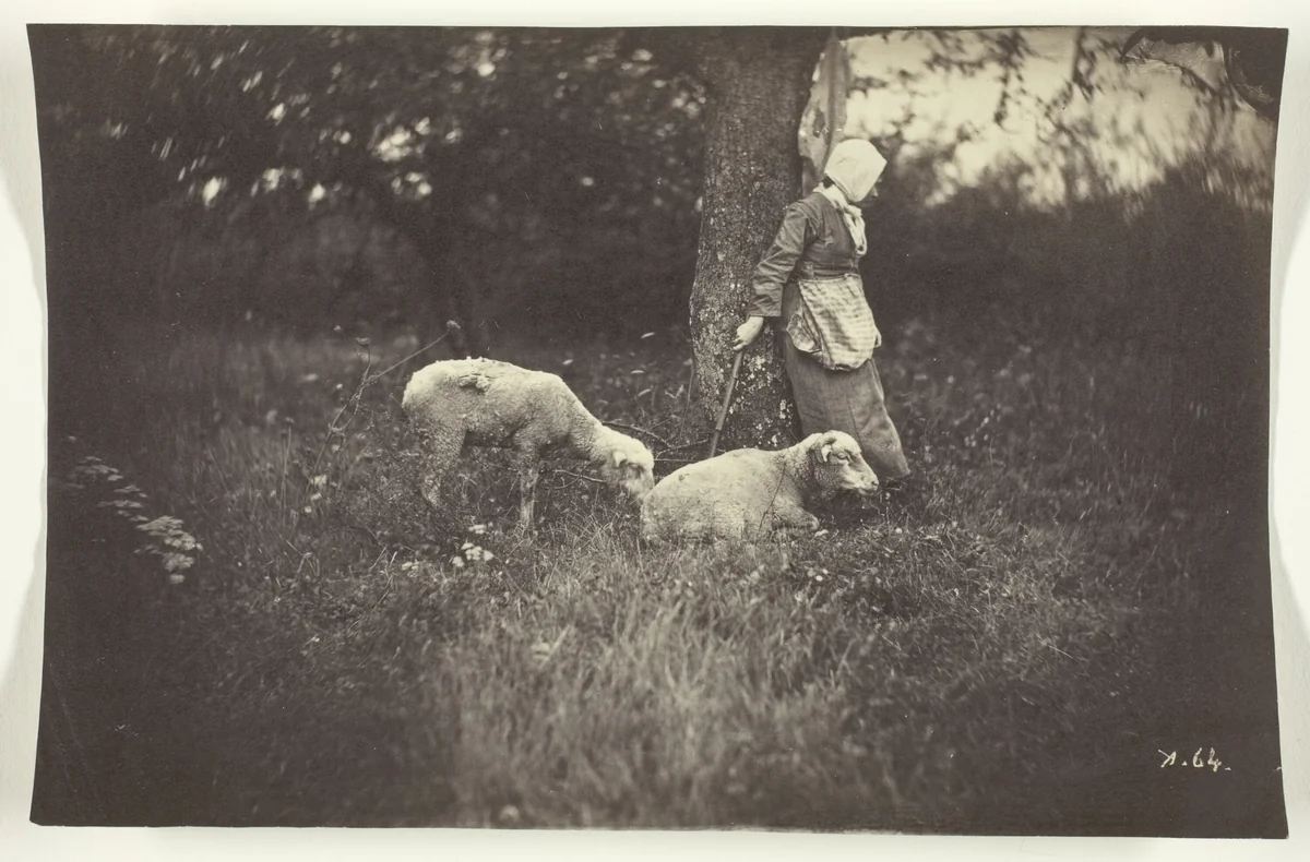 Shepherdess Leaning Against a Tree, with Two Sheep by Giraudon, photograph, 1870