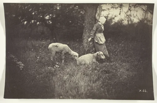 Shepherdess Leaning Against a Tree, with Two Sheep by Giraudon, photograph, 1870