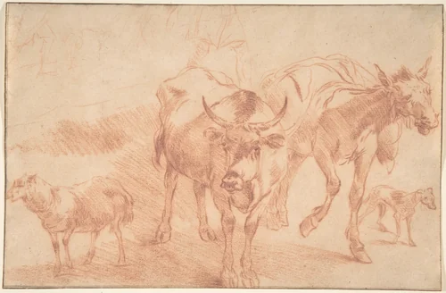 Animal Studies by Nicolaes Berchem, drawing, 1635-1683