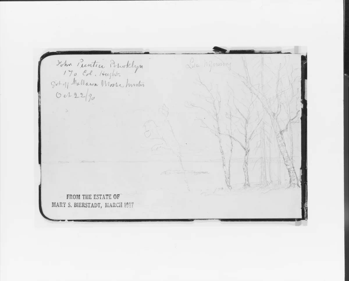 Lake Nipissing (from Sketchbook) by Albert Bierstadt, artwork, 1890