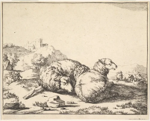 Sheep, from a set of 16 plates by Marcus de Bye, print, 1664