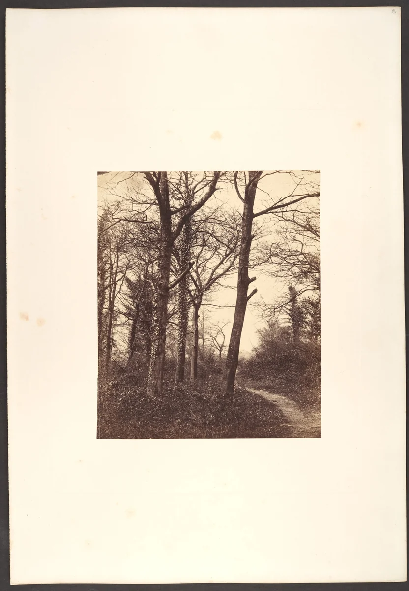 Winter by Charles Conway, photograph, 1855
