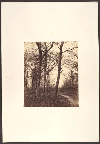 Winter by Charles Conway, photograph, 1855