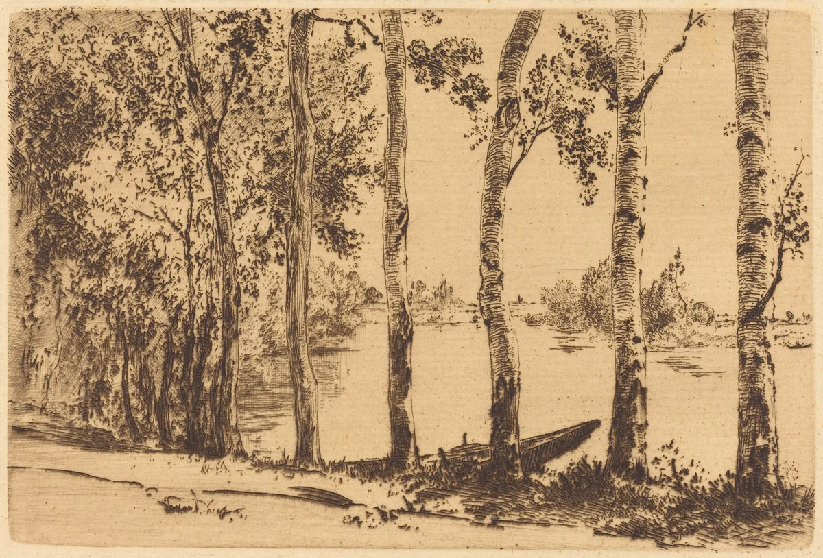Trembles au bord de la Seine (Aspens on the Banks of the Seine) by Félix Bracquemond, print, 1879-1889