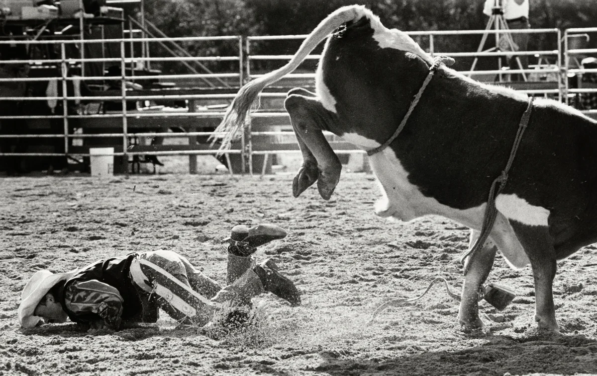 The Rodeo, no. 3 by Nancy Andrews, photograph, 1993