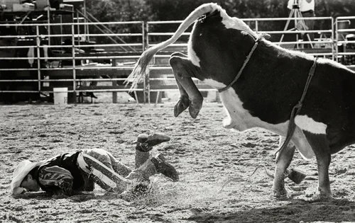 The Rodeo, no. 3 by Nancy Andrews, photograph, 1993