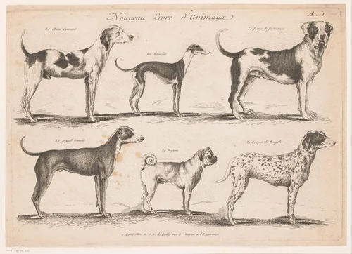 Hondenrassen by anonymous, print, 1750-1820
