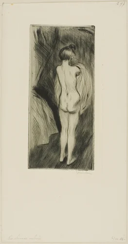 Woman Standing by Théophile Alexandre Steinlen, print, 1902